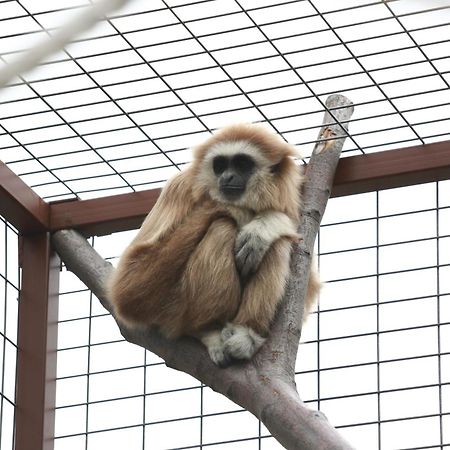 Faunapark Lipova-Lazne Zewnętrze zdjęcie