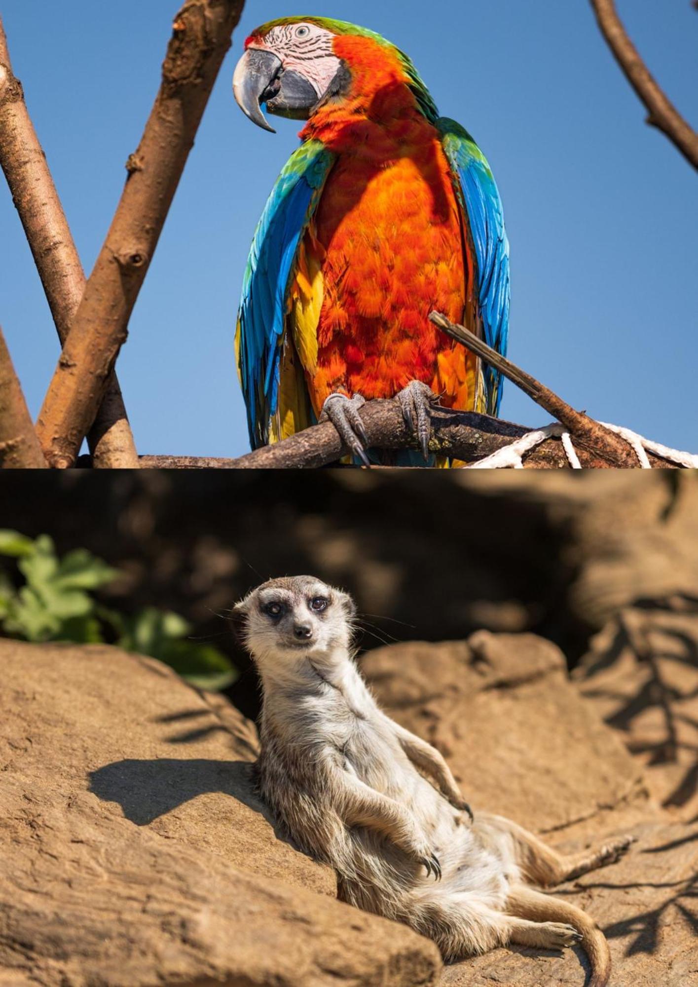 Faunapark Lipova-Lazne Zewnętrze zdjęcie