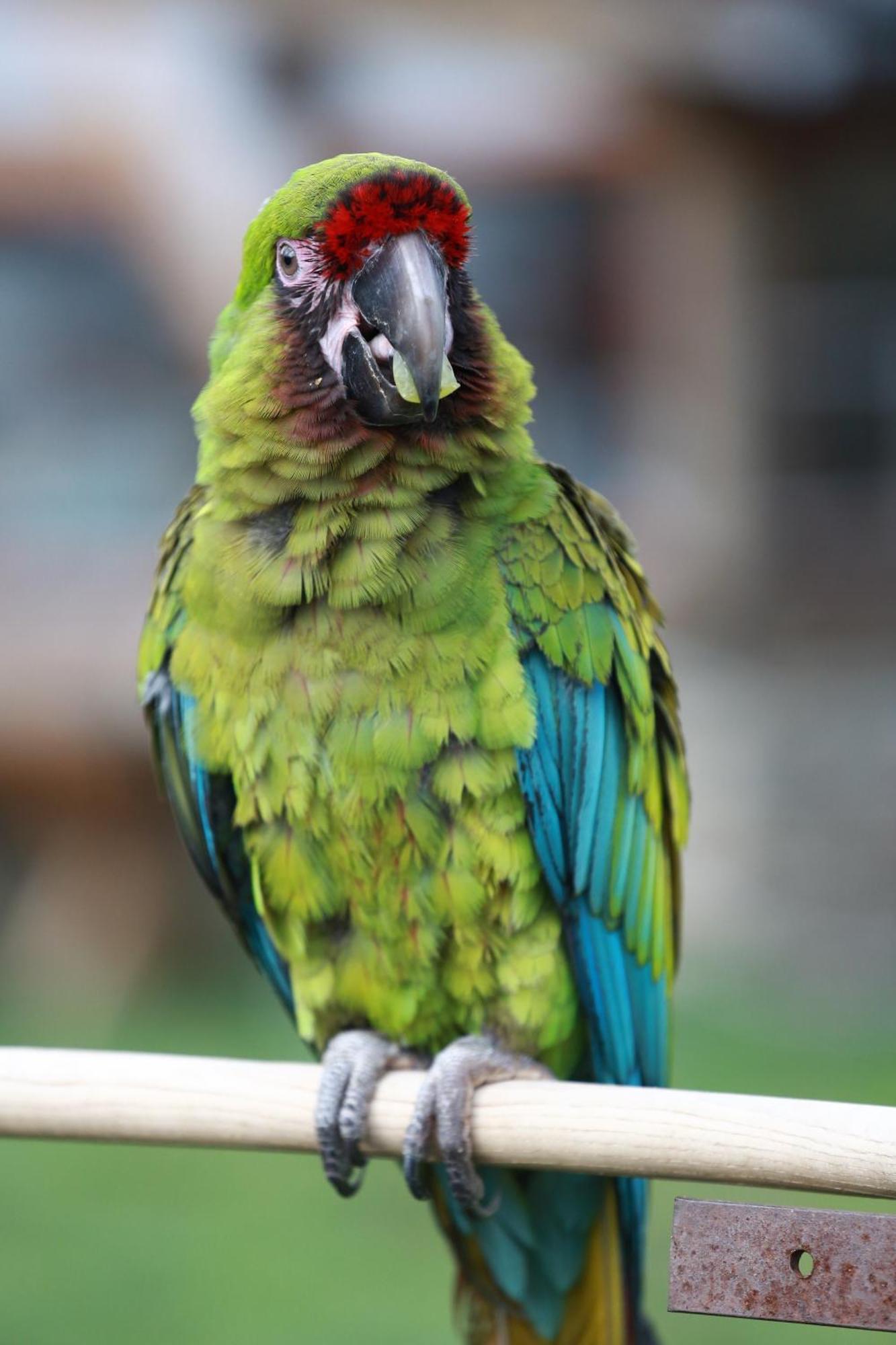 Faunapark Lipova-Lazne Zewnętrze zdjęcie